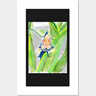 A Tiny Fish Tale Betta Fish Posters and Art